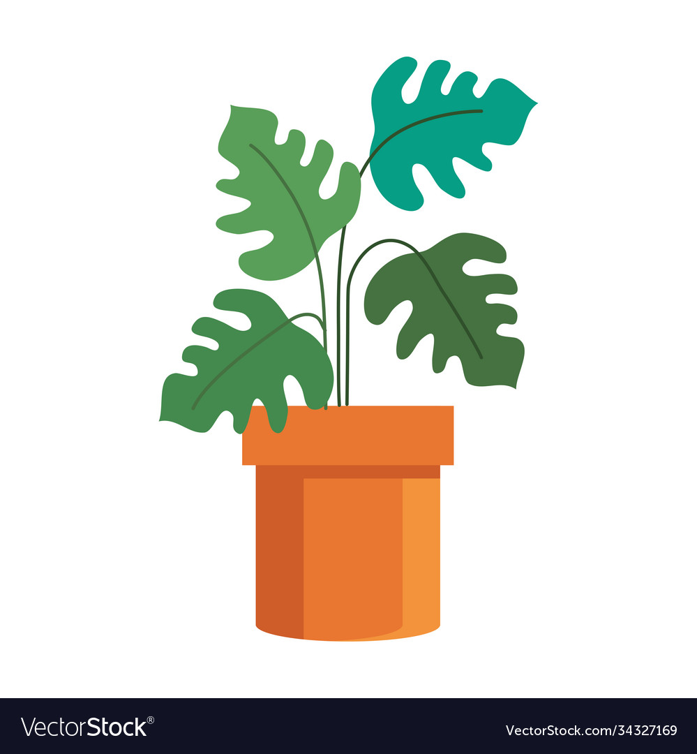 Plant inside pot design