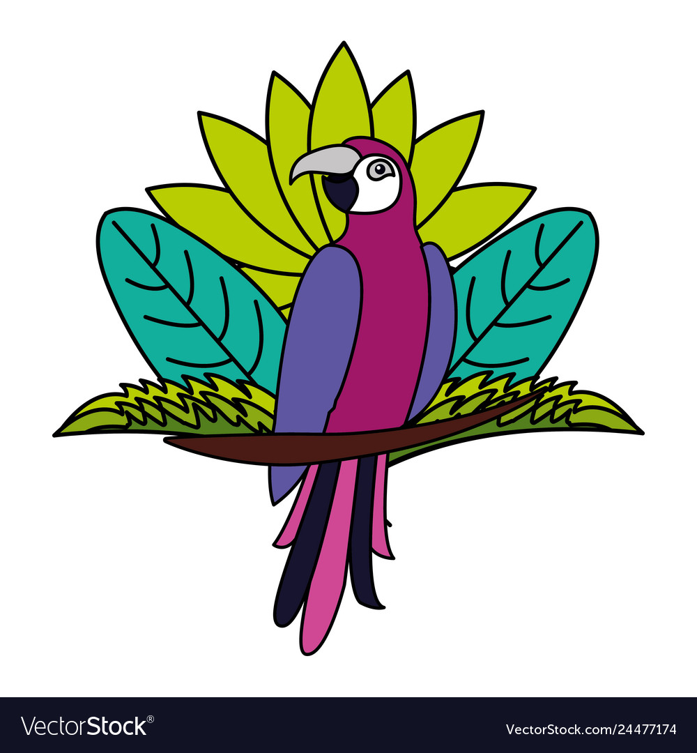 Exotic parrot bird leaves tropical