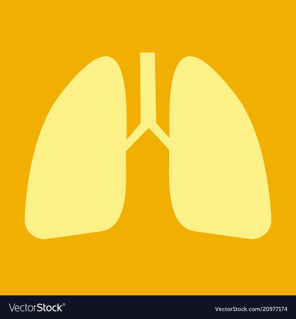 Lungs icon flat style internal organs Royalty Free Vector