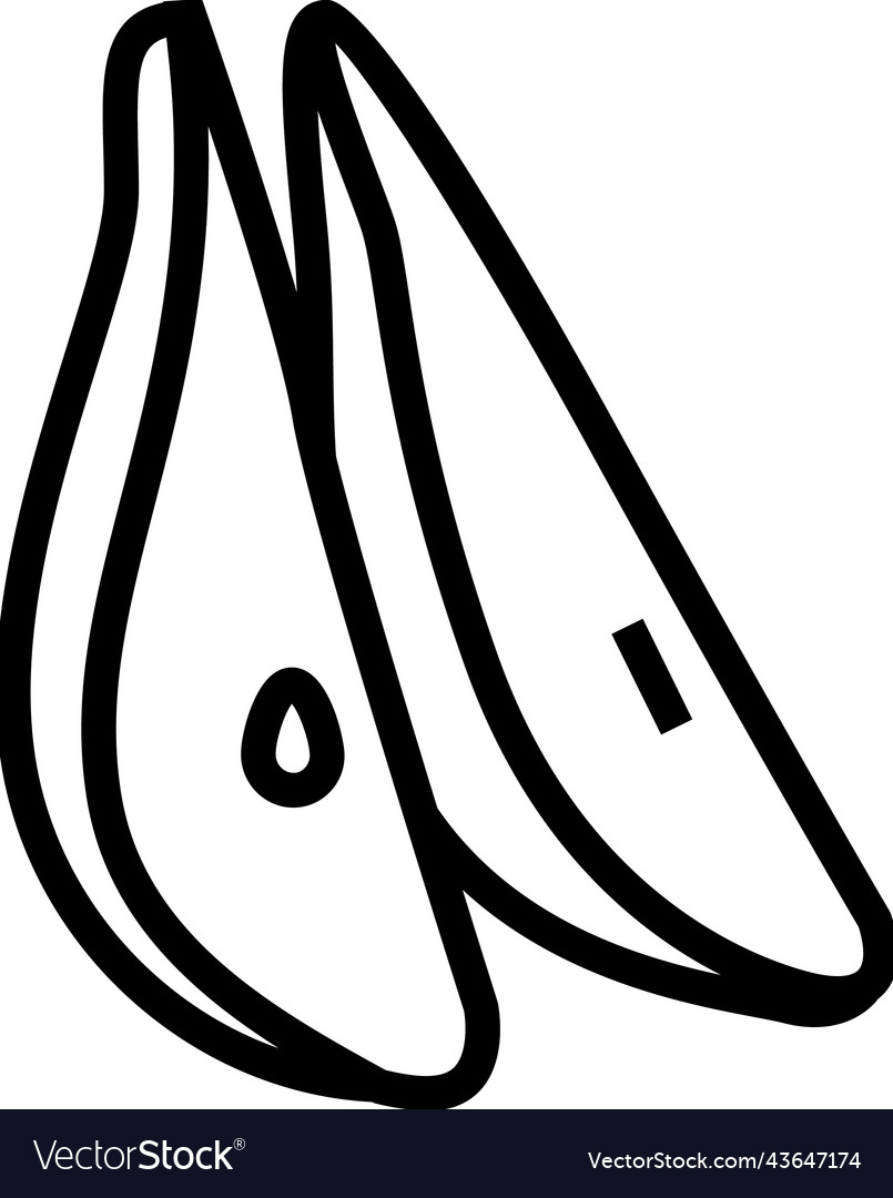 Pear slices line icon
