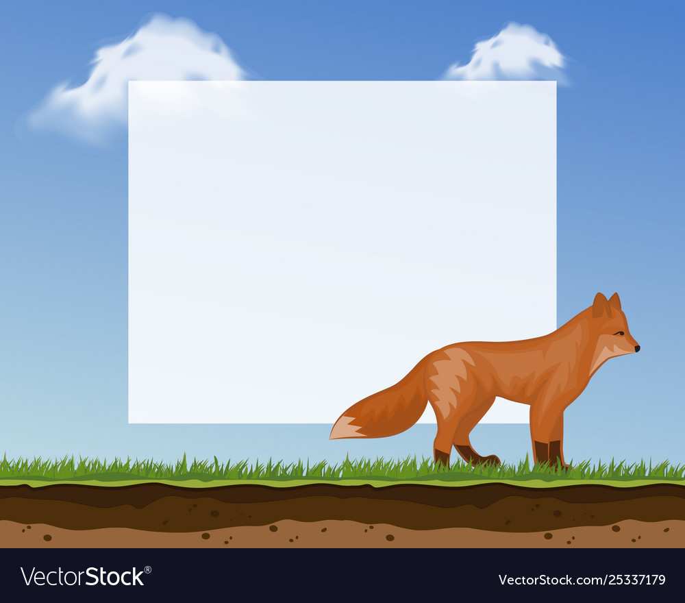 Cute Fox Frame For Photos And Pictures Banner Vector Image