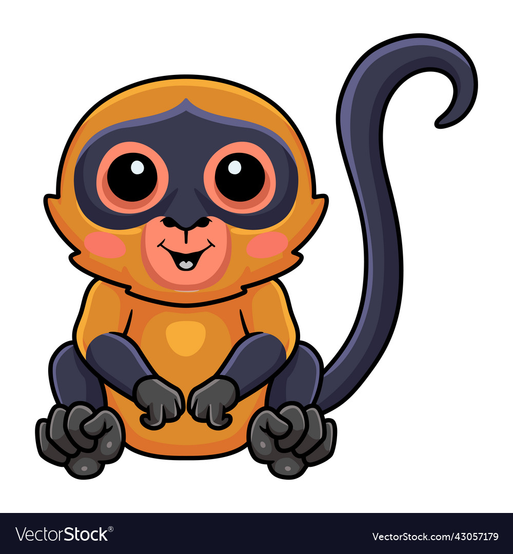 Cute spider monkey cartoon sitting Royalty Free Vector Image
