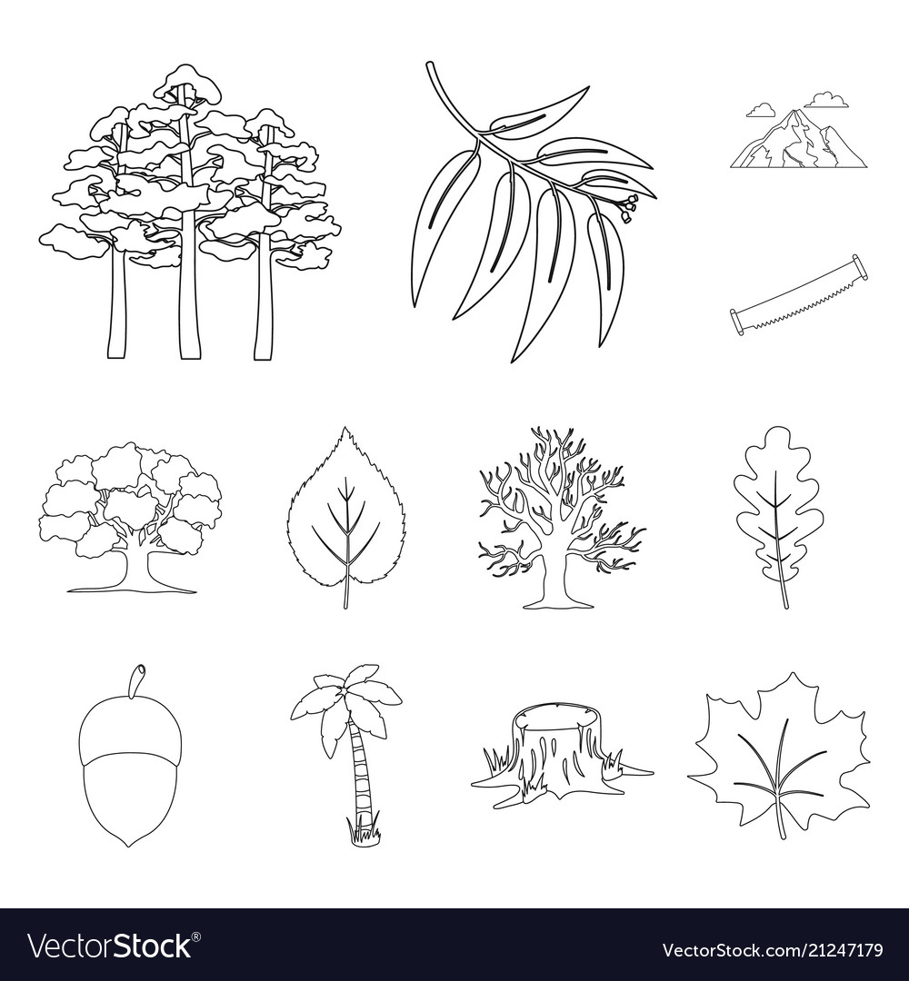 Forest and nature outline icons in set collection Vector Image