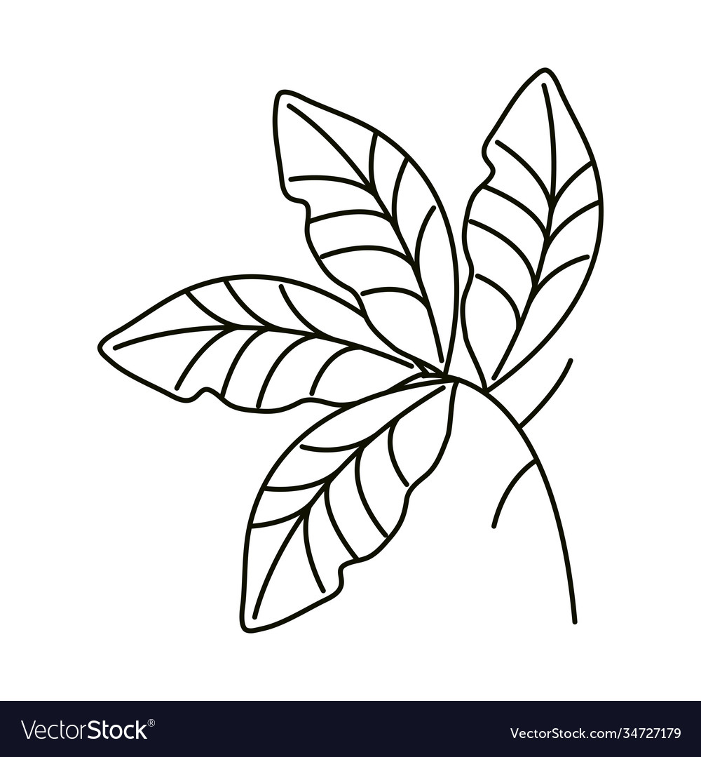 Leaves line icon style branch decoration