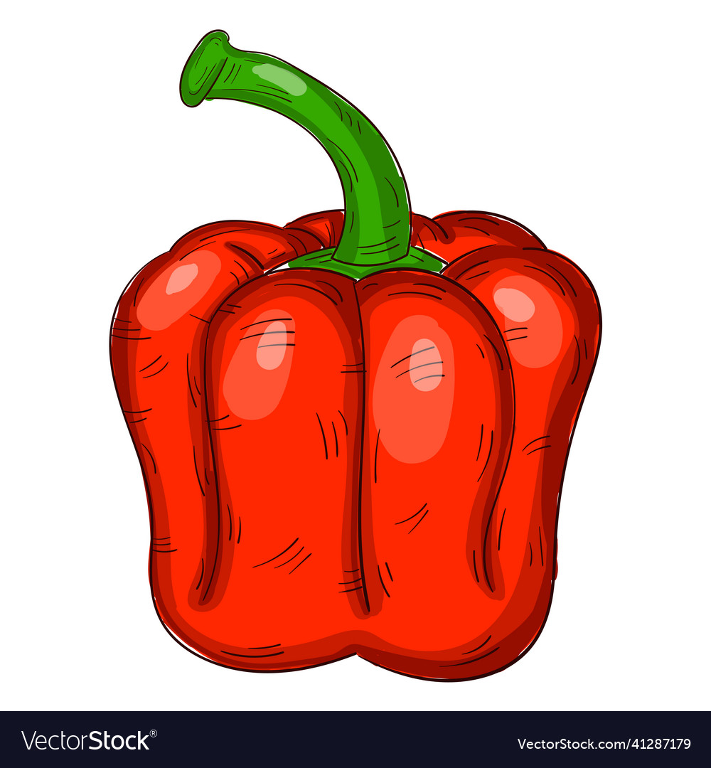 Realistic fresh red bell pepper on white