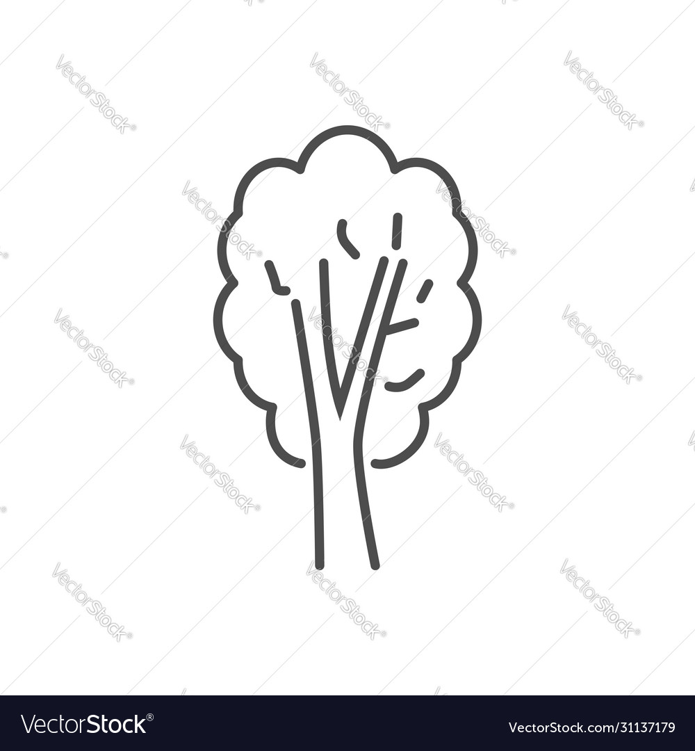 Tree related thin line icon