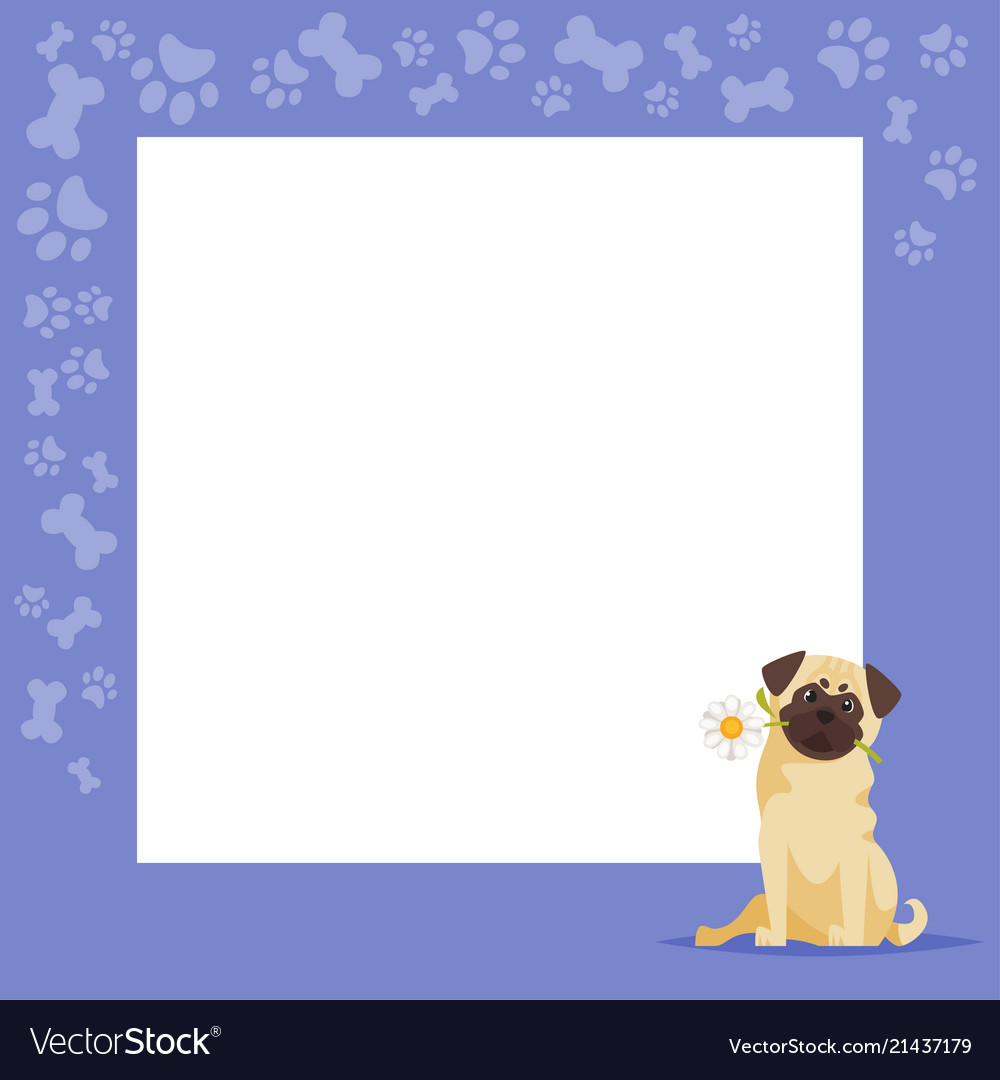 Video and photo frame background Royalty Free Vector Image