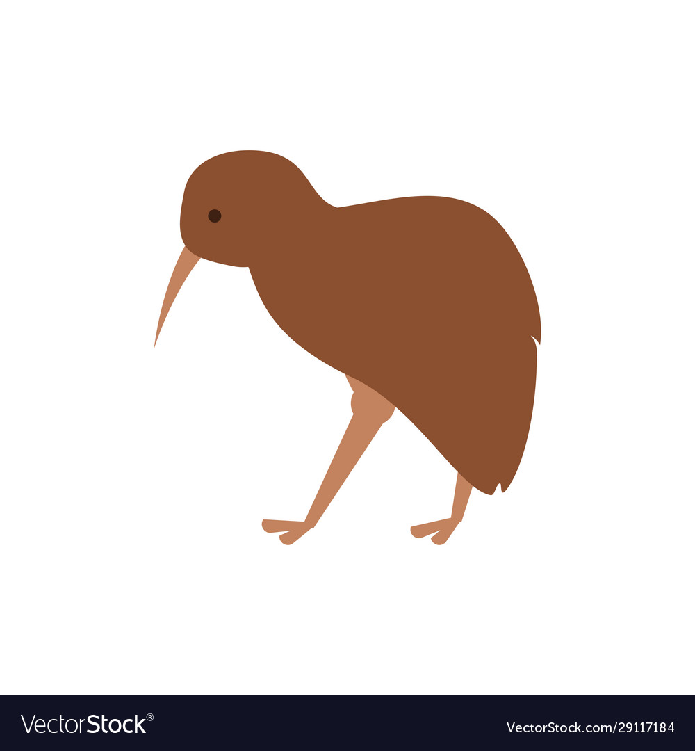 Cute australian kiwi design Royalty Free Vector Image Cute australian kiwi design Royalty Free Vector Image