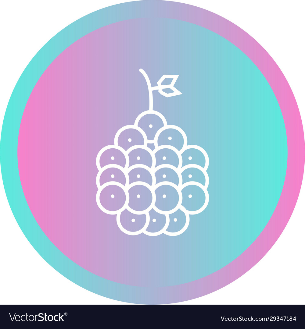 Unique raspberry line icon