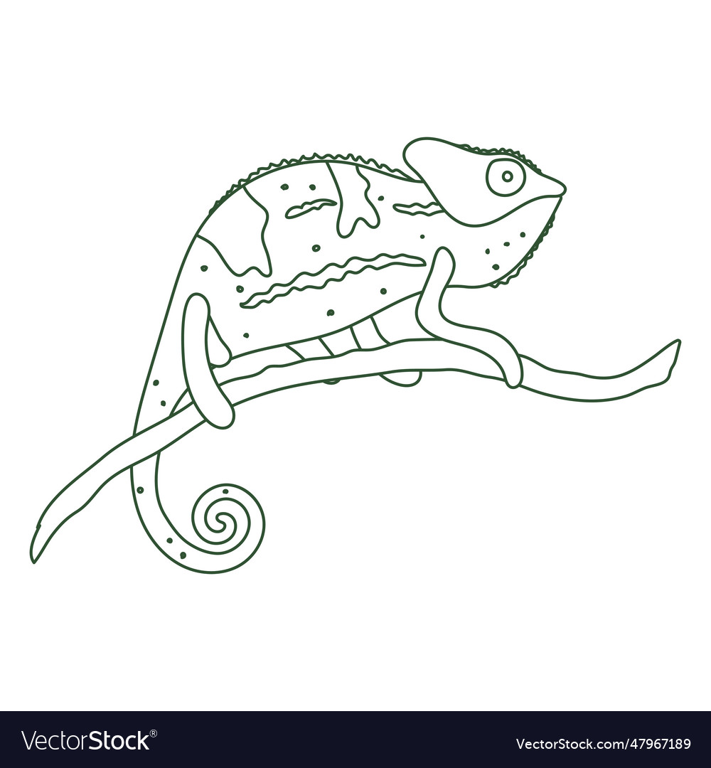 Chameleon profile continuous line Royalty Free Vector Image