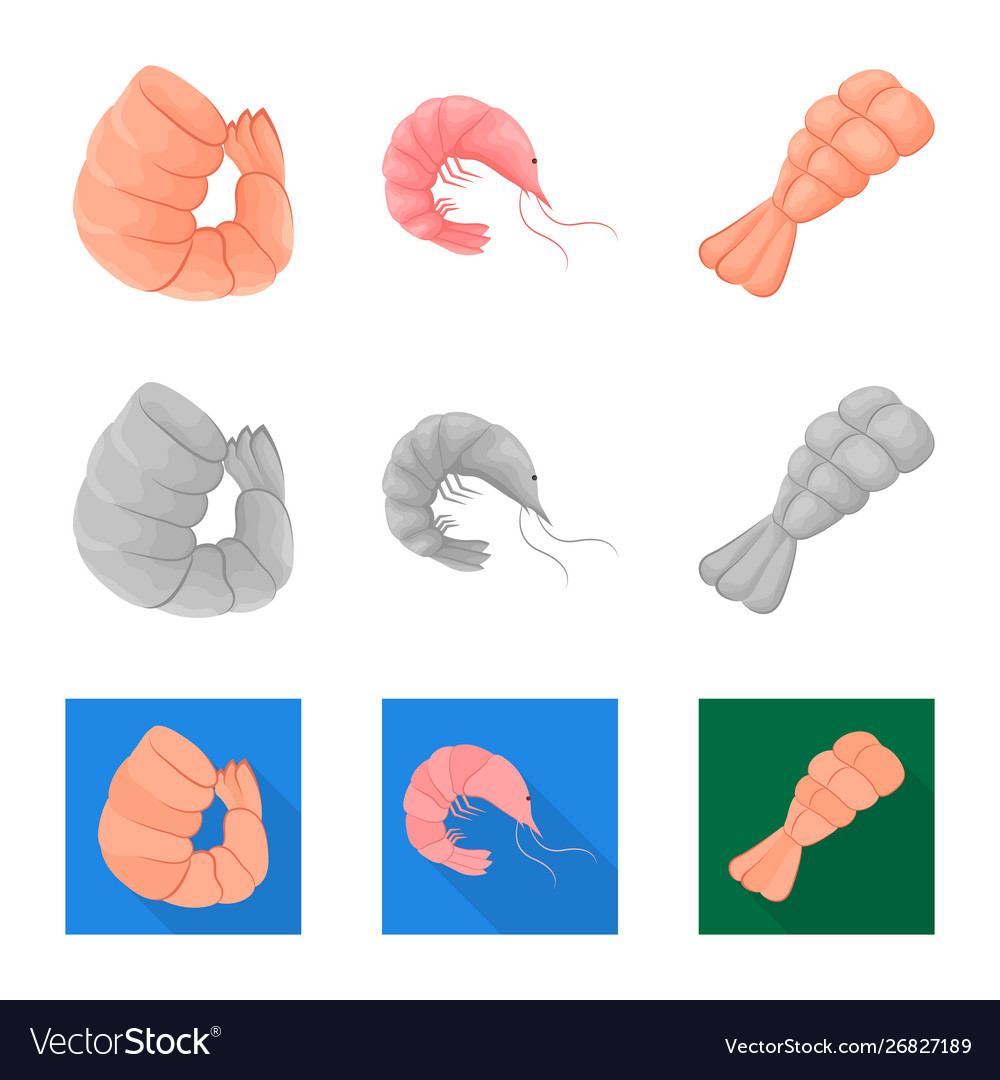 Isolated object appetizer and ocean icon set
