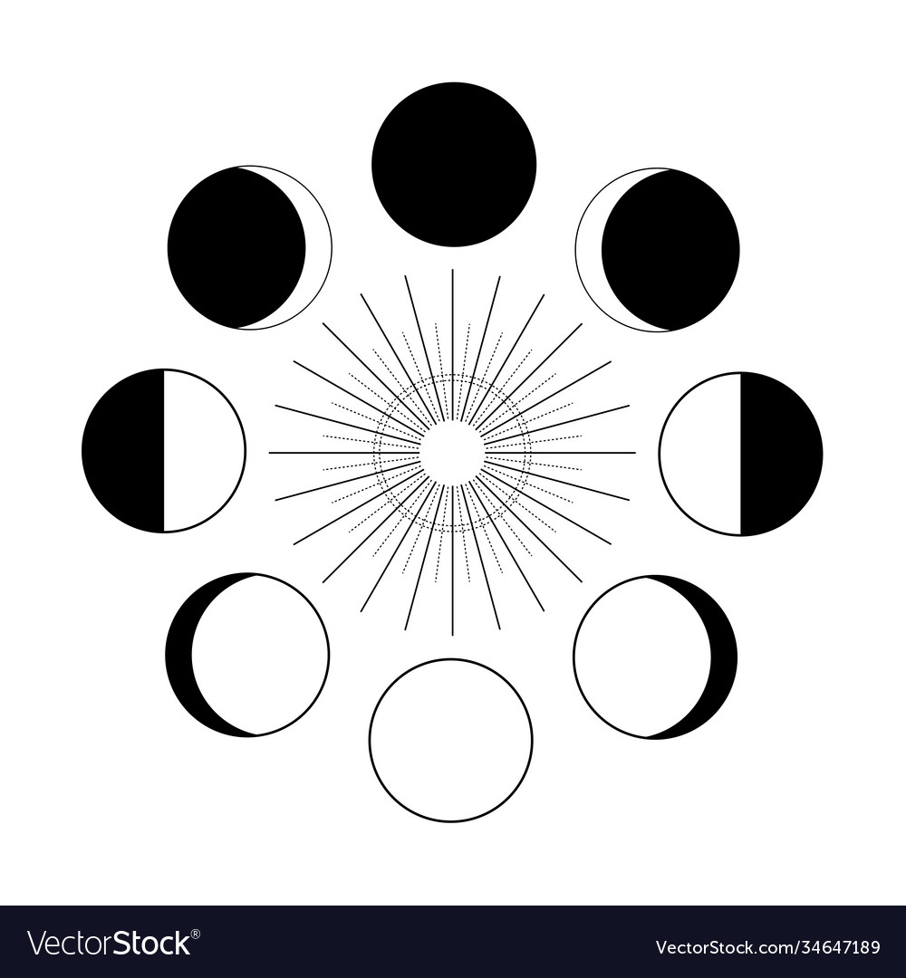 Lunar phases astrology moon Royalty Free Vector Image