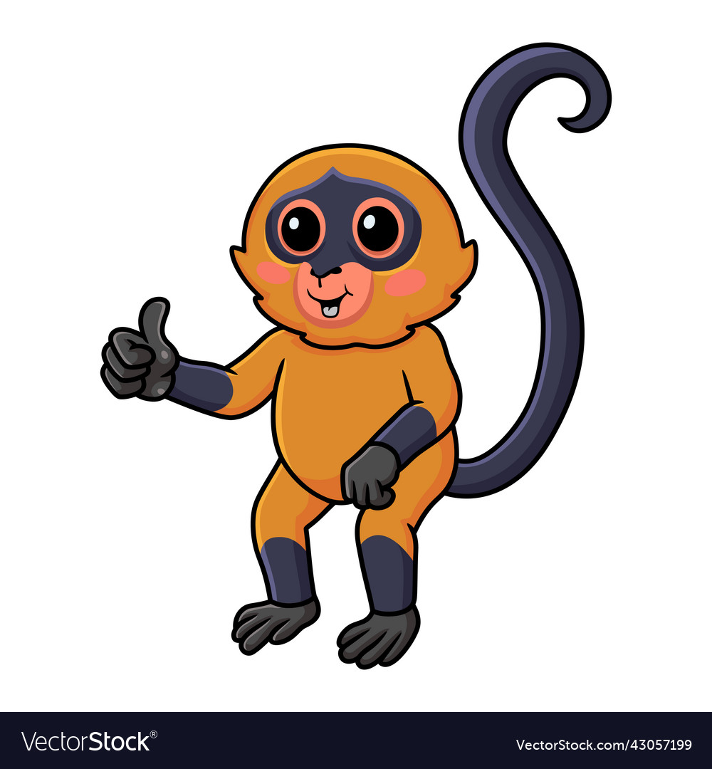 Cute spider monkey cartoon giving thumb up Vector Image