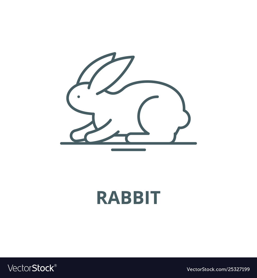 Rabbit line icon linear concept outline