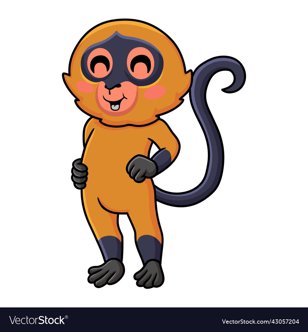 Cute spider monkey cartoon standing Royalty Free Vector