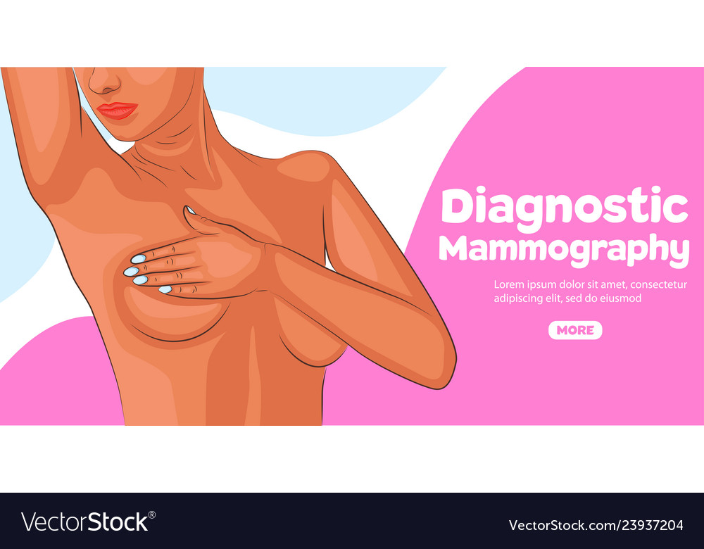 Diagnostic Mammography Banner Royalty Free Vector Image