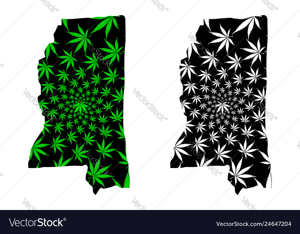 Mississippi - map is designed cannabis leaf