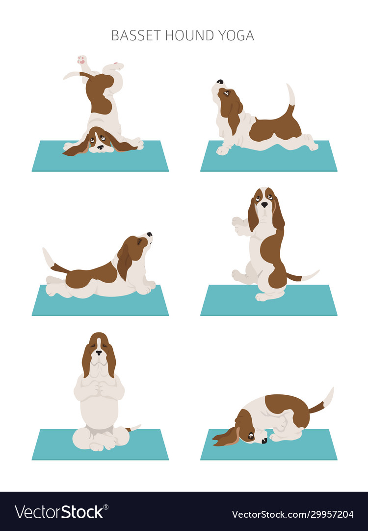 Yoga dogs poses and exercises basset hound clipart