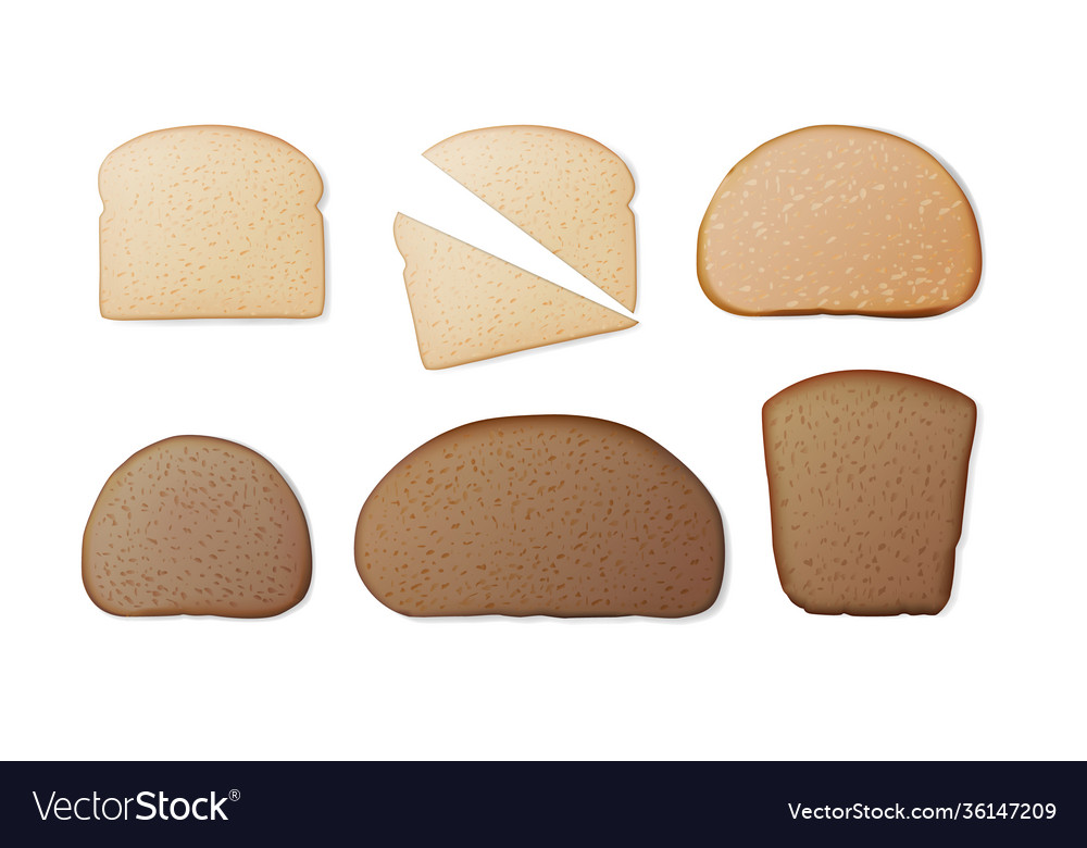 A set slices different types bread vector image A set slices different types bread