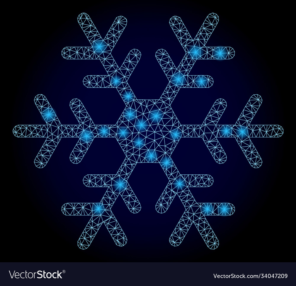 Bright web network snowflake with light spots Vector Image Bright web network snowflake with light spots