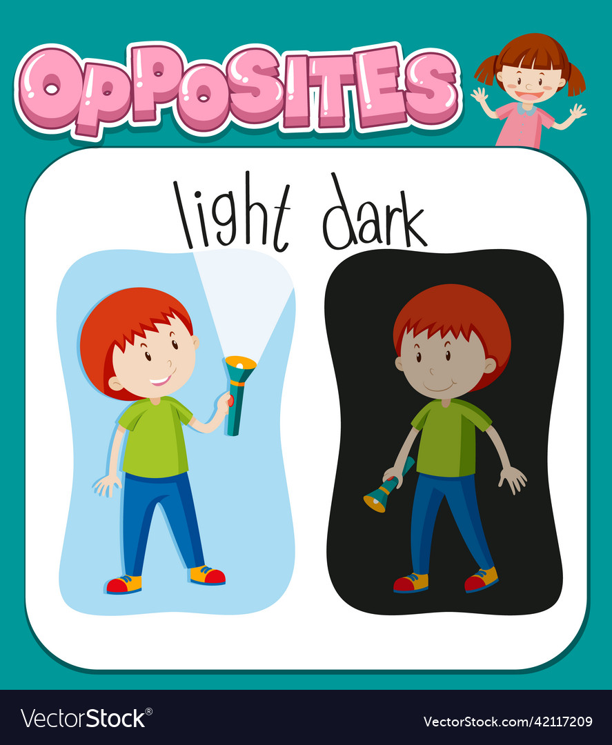 Opposite words for light and dark vector image Opposite words for light and dark