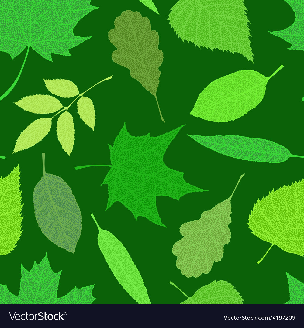 Spring texture