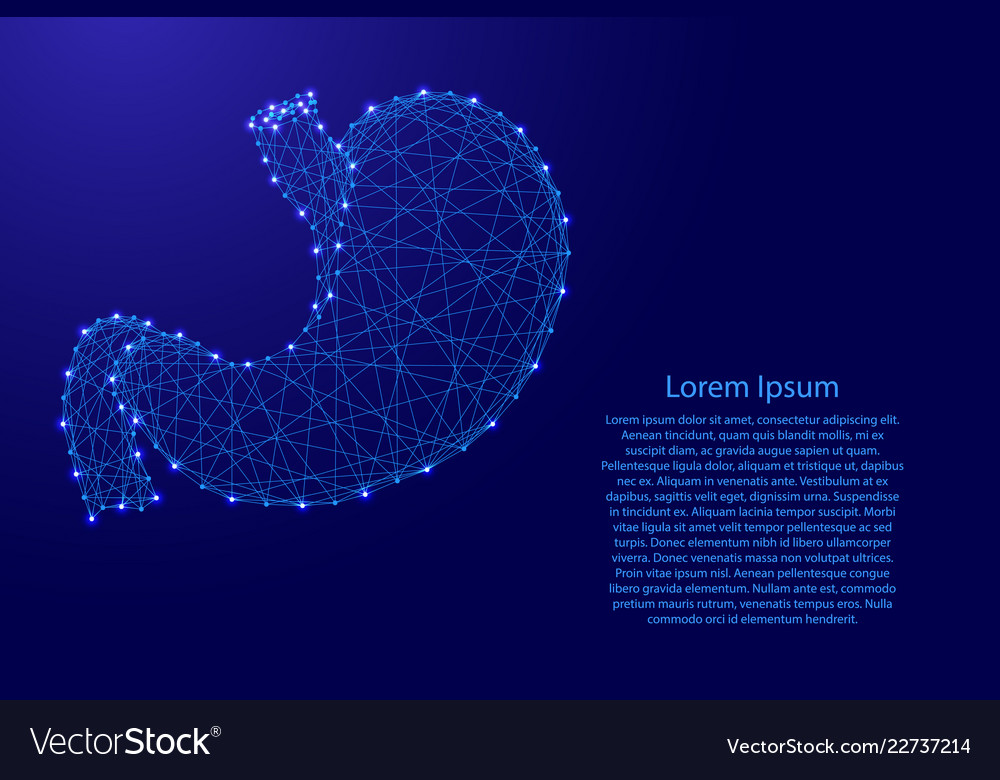 Human stomach organ from futuristic polygonal