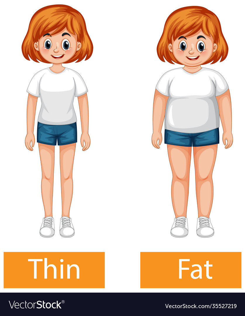 opposite-adjectives-words-with-thin-and-fat-vector-image