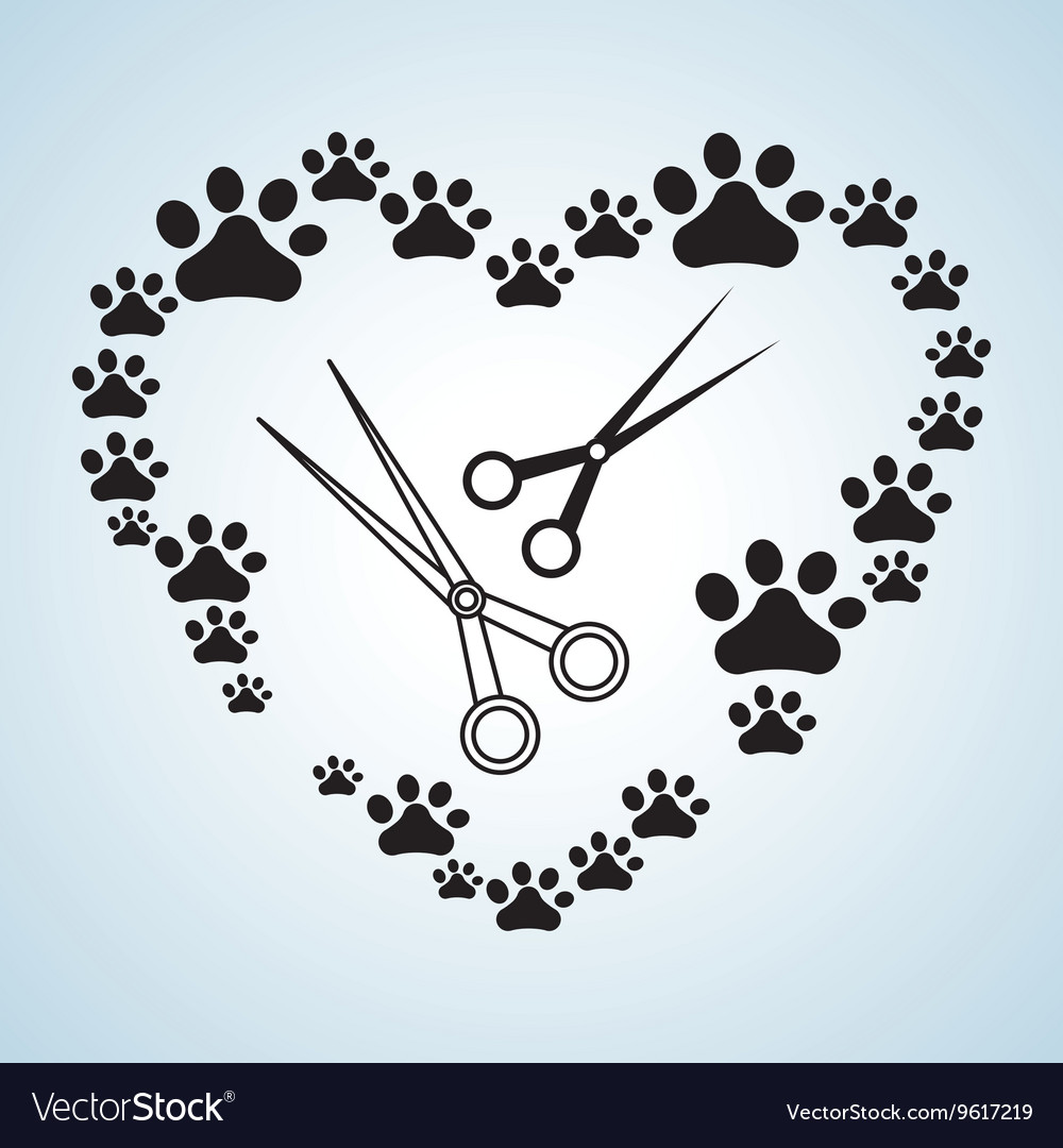 Pet shop design animal icon care concept Vector Image