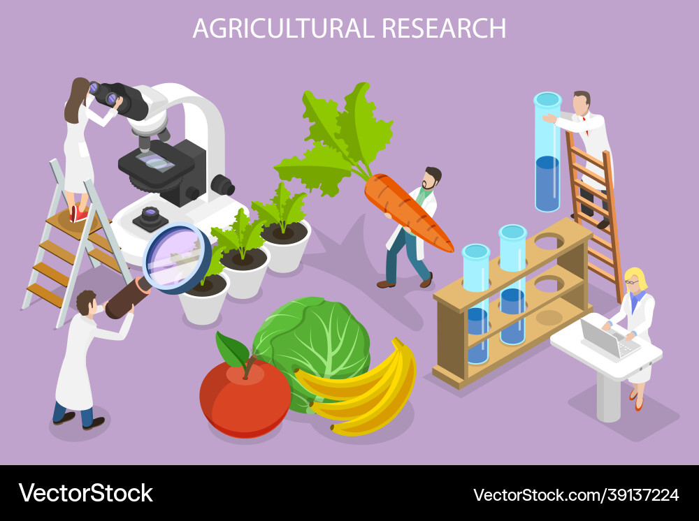 3d isometric flat conceptual Royalty Free Vector Image