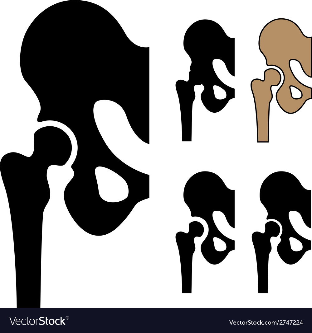 Human hip joint symbols Royalty Free Vector Image