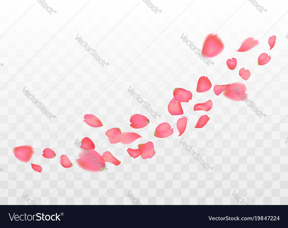 Pink Sakura Petal Falling Effect