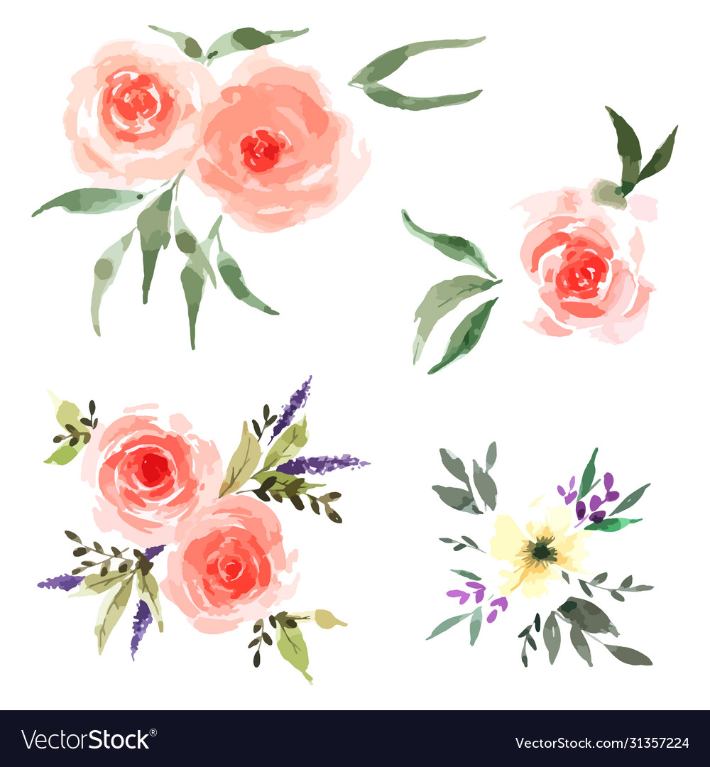Rose flower set with hand drawn watercolour vector image Rose flower set with hand drawn watercolour
