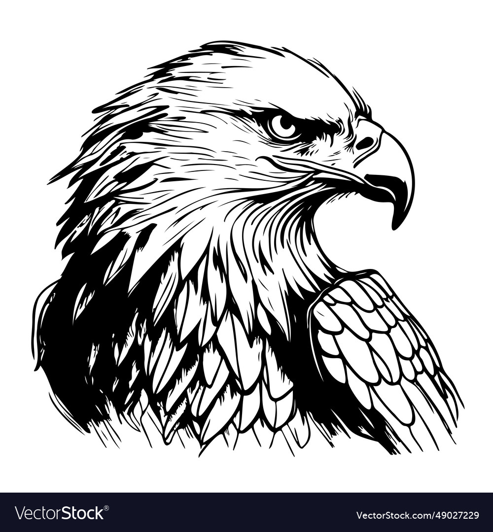 Hand drawn sketch of an eagle Royalty Free Vector Image