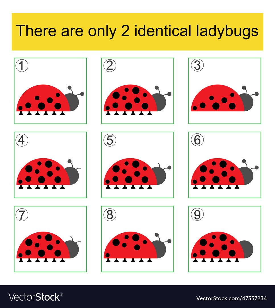 Find two identical ladybugs logic game Royalty Free Vector