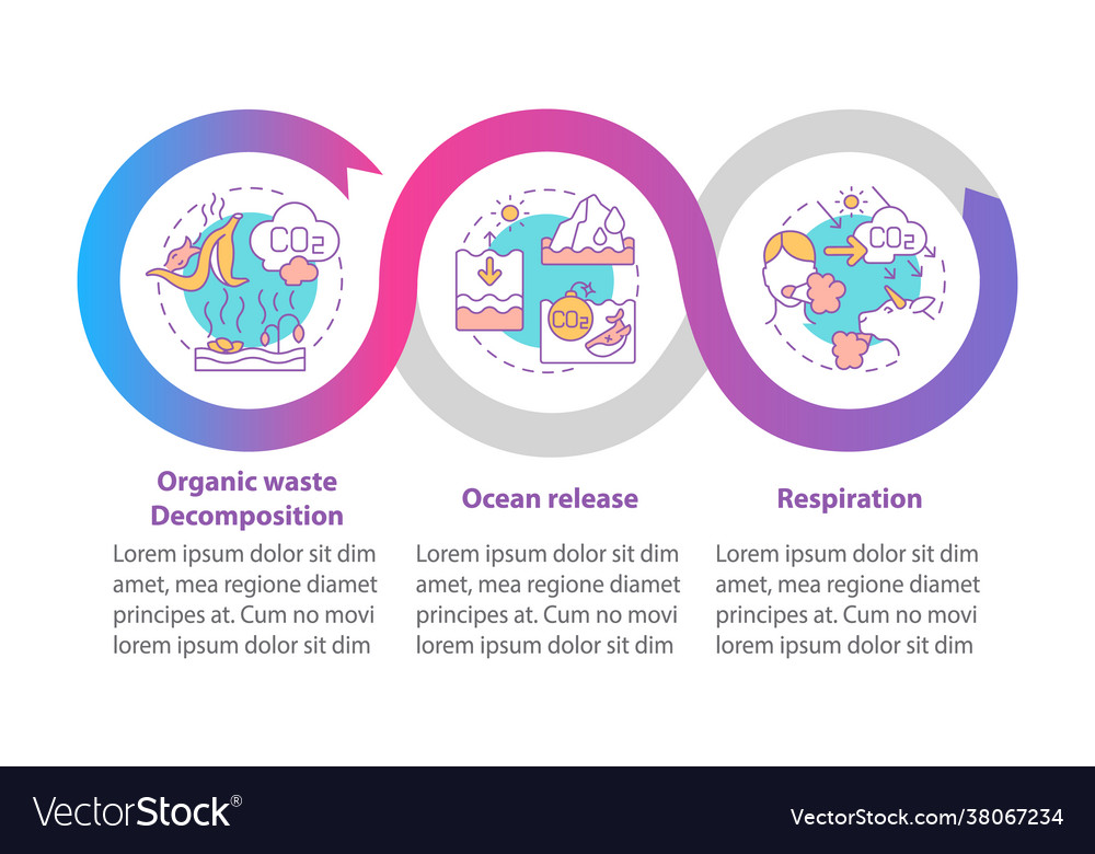 Natural co2 emissions infographic template Vector Image