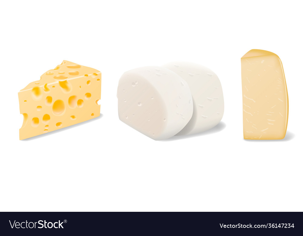 Set pieces different types vector image Set pieces different types