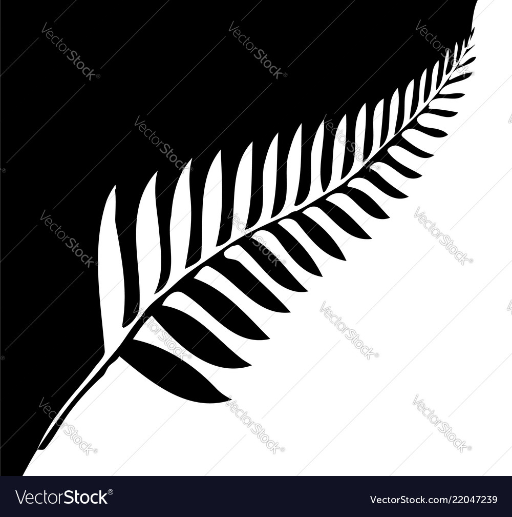 Silver fern new zealand Royalty Free Vector Image