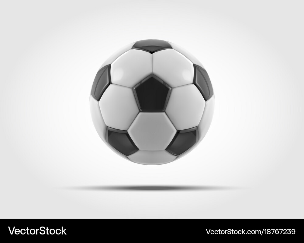 Soccer Ball Realistic Ball Royalty Free Vector Image