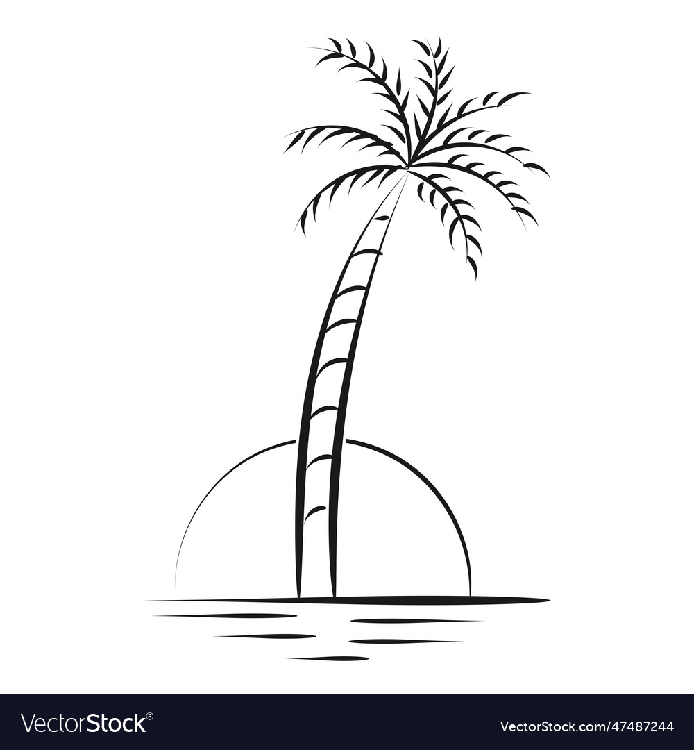 Palm tree line drawing for print vector image Palm tree line drawing for print