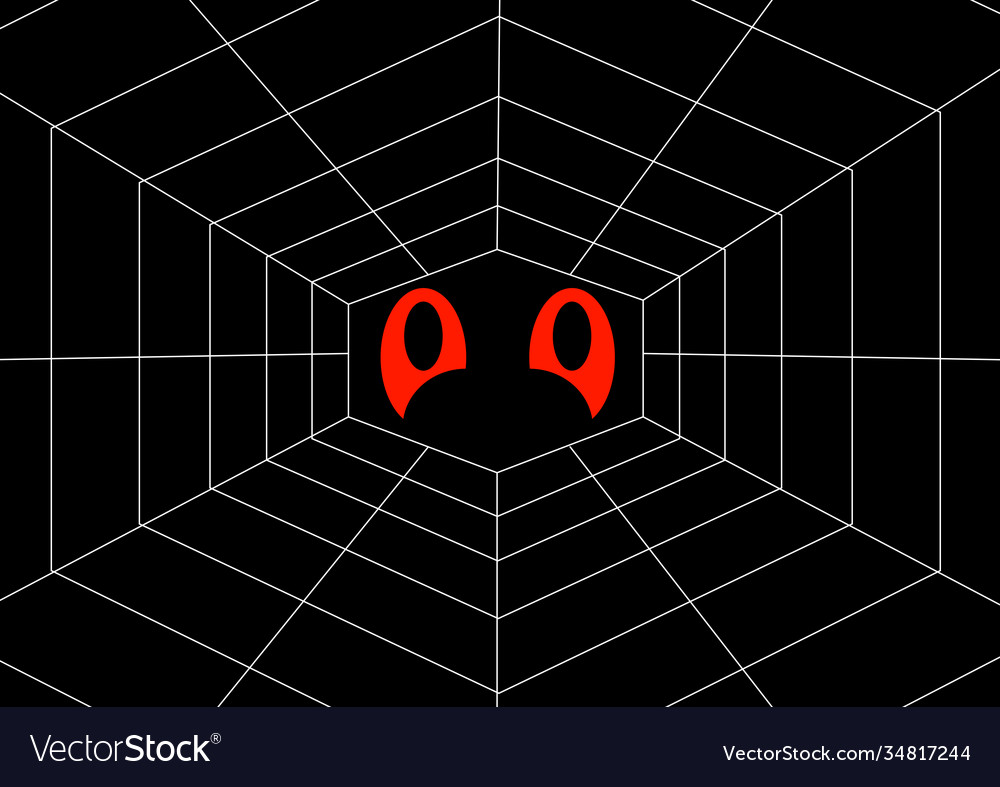 Spider web pattern with place for text vector image Spider web pattern with place for text