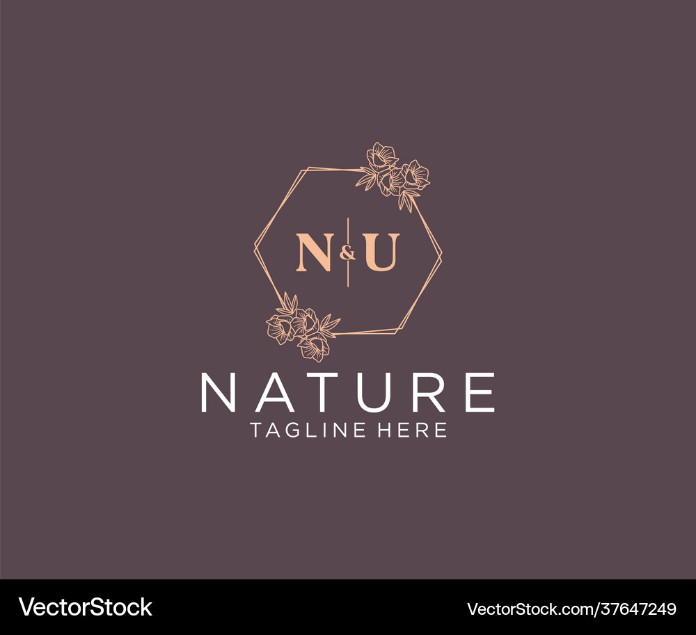 Initial nu letters floral frames botanical Vector Image