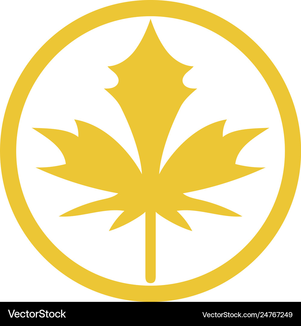 Maple leaf Royalty Free Vector Image - VectorStock