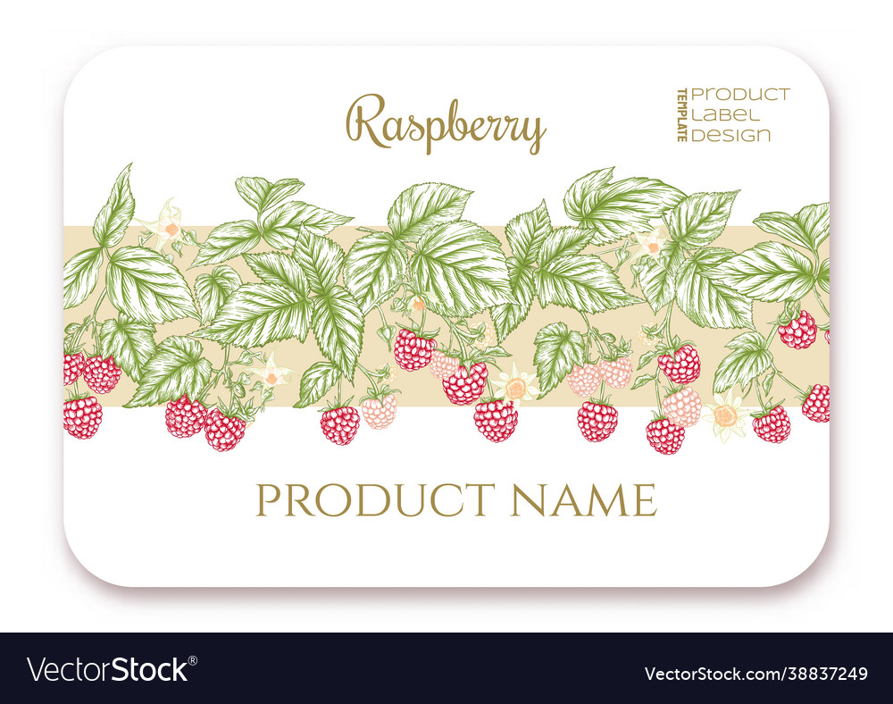 Raspberry ripe berries on branch template