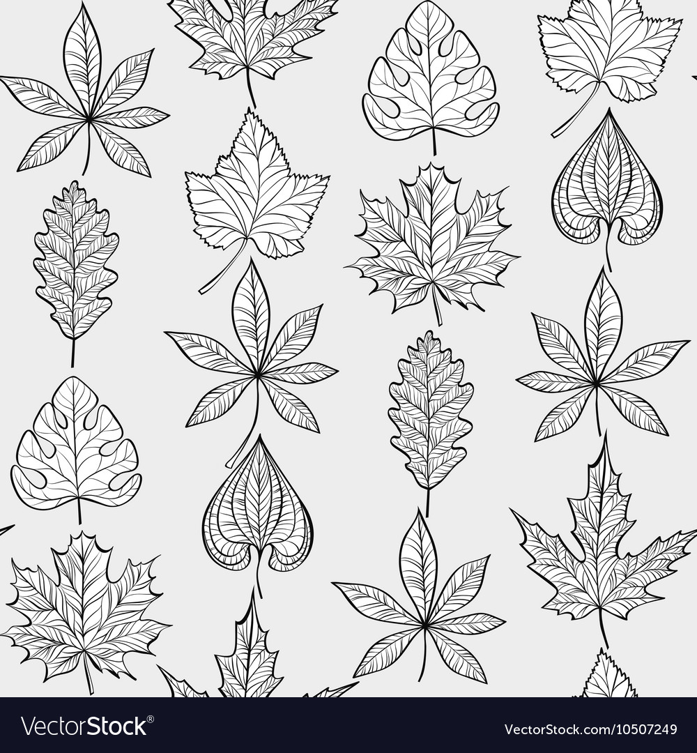 Seamless pattern with fall different leaves
