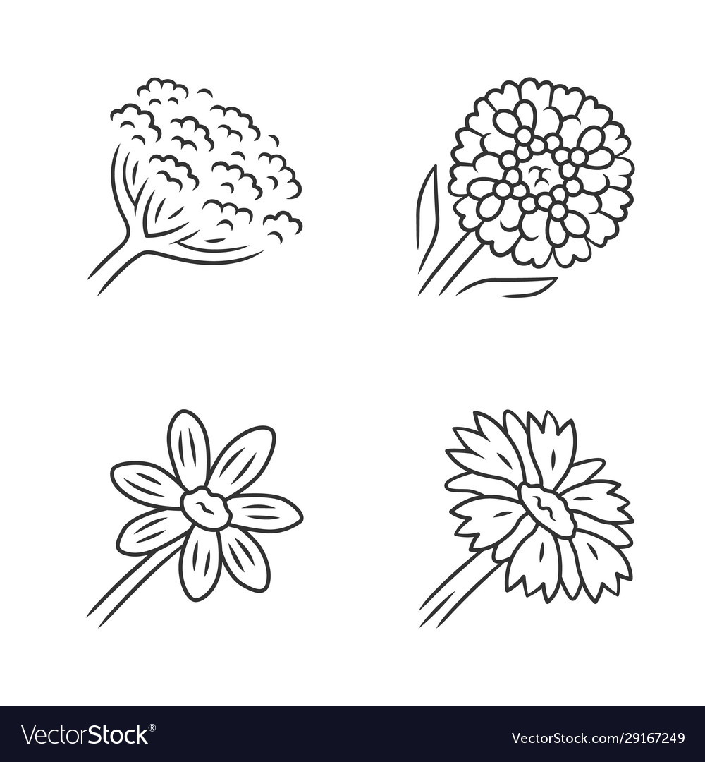 Wildflower Line Art Icon Set