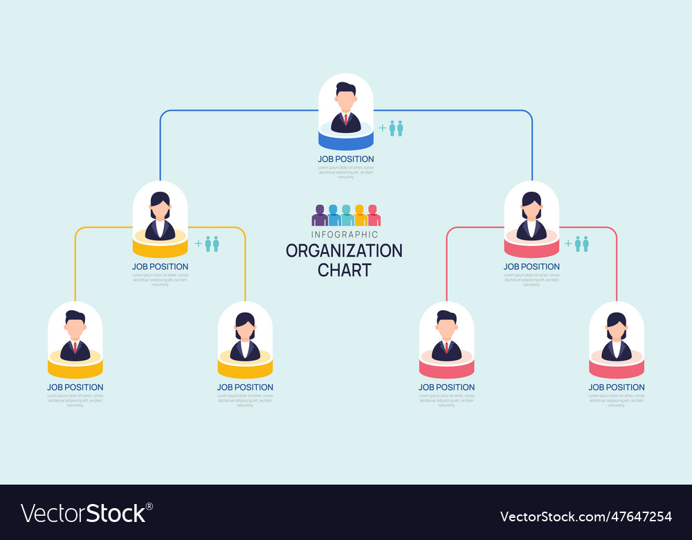 Infographic template for organization chart with Vector Image