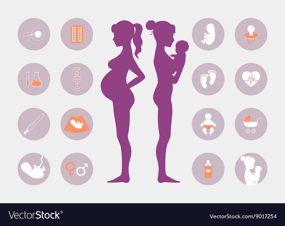 Pregnancy And Birth Icons Set Royalty Free Vector Image