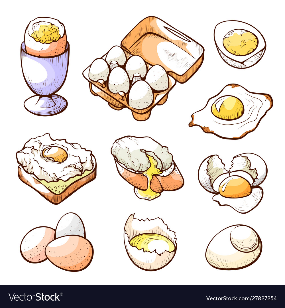 Egg, Free Stock Photo, Illustration of a fried egg sunny side up