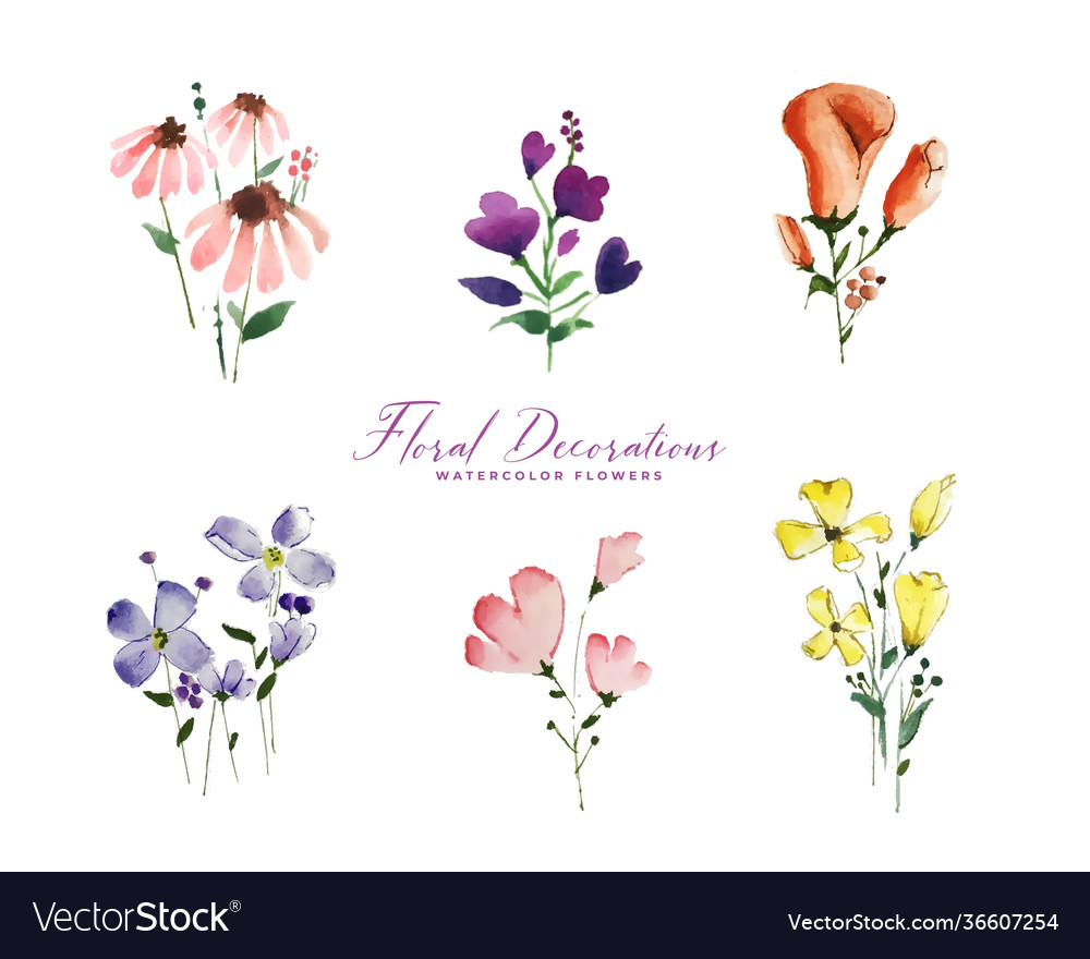 Set isolated cute watercolor flowers elements